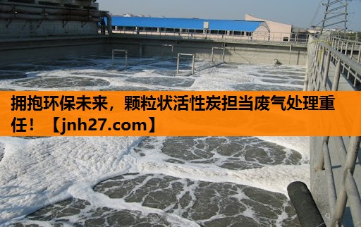 拥抱环保未来，颗粒状活性炭担当废气处理重任！