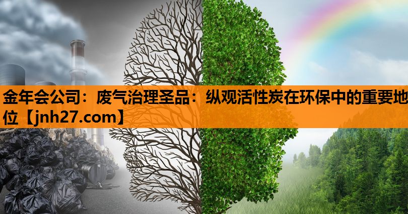 金年会公司：废气治理圣品：纵观活性炭在环保中的重要地位