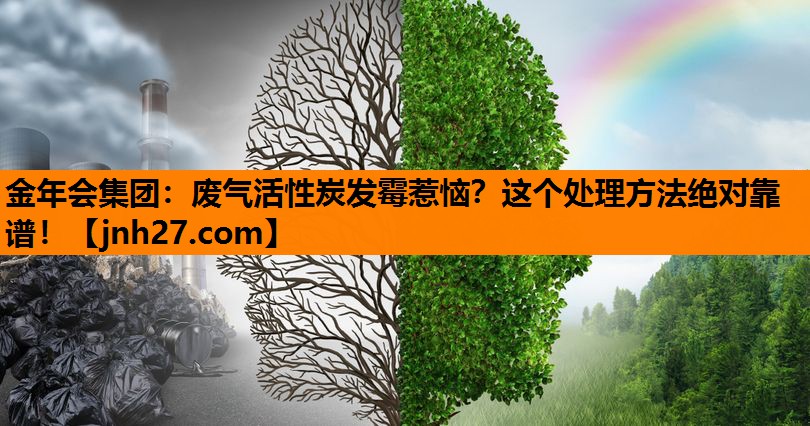 金年会集团：废气活性炭发霉惹恼？这个处理方法绝对靠谱！