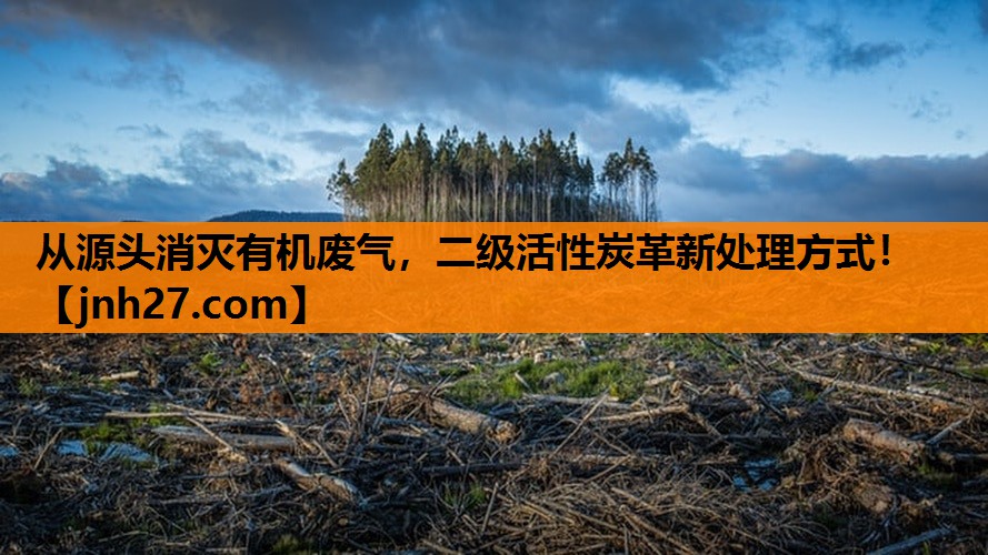 从源头消灭有机废气，二级活性炭革新处理方式！