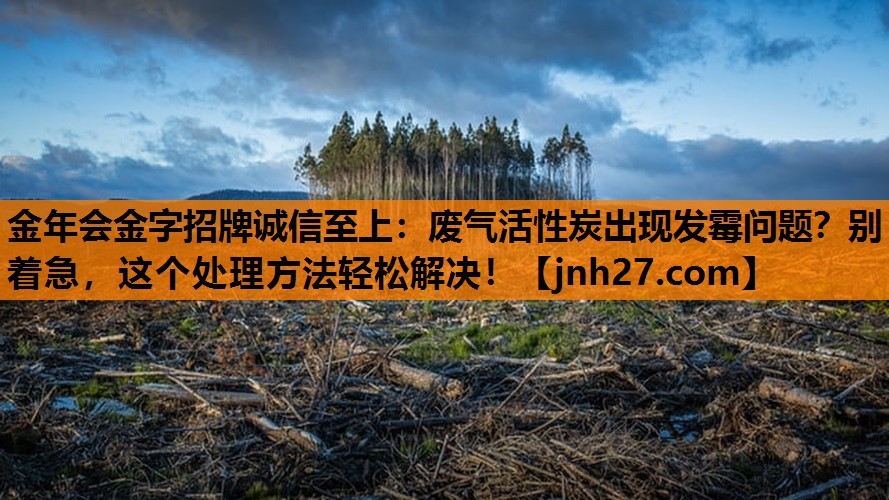 金年会金字招牌诚信至上：废气活性炭出现发霉问题？别着急，这个处理方法轻松解决！