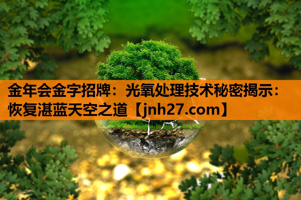 金年会金字招牌：光氧处理技术秘密揭示：恢复湛蓝天空之道