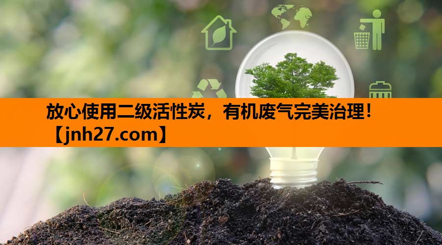 放心使用二级活性炭，有机废气完美治理！