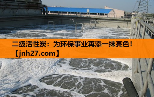 二级活性炭：为环保事业再添一抹亮色！