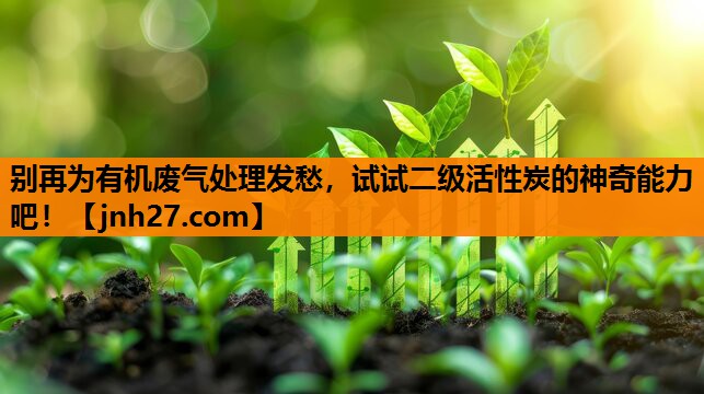 别再为有机废气处理发愁，试试二级活性炭的神奇能力吧！
