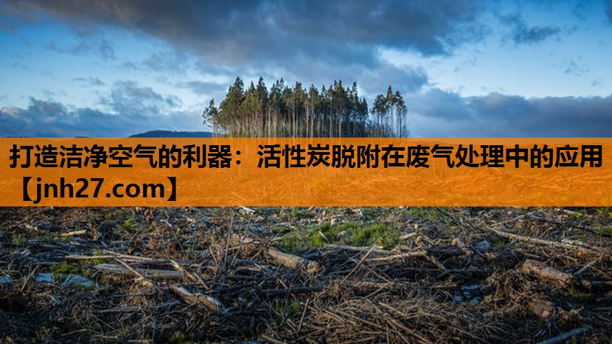 打造洁净空气的利器：活性炭脱附在废气处理中的应用