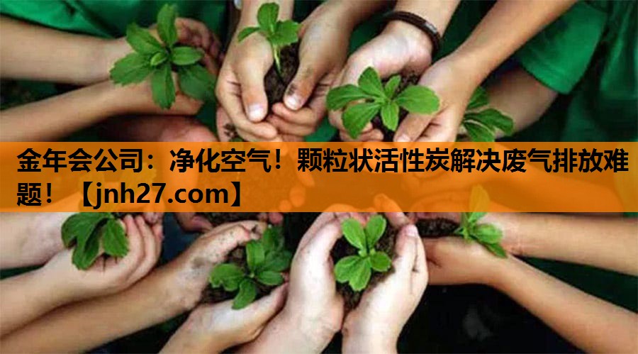 金年会公司：净化空气！颗粒状活性炭解决废气排放难题！