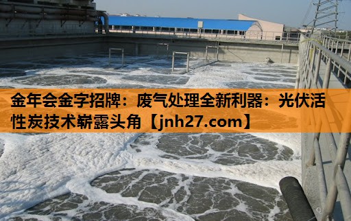 <strong>金年会金字招牌：废气处理全新利器：光伏活性炭技术崭露头角</strong>