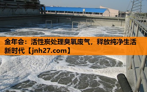 活性炭处理臭氧废气，释放纯净生活新时代