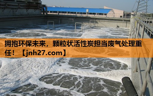 拥抱环保未来，颗粒状活性炭担当废气处理重任！