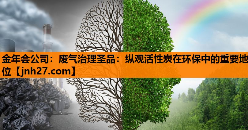 废气治理圣品：纵观活性炭在环保中的重要地位