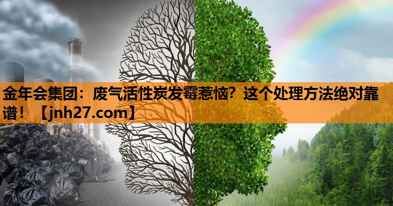 废气活性炭发霉惹恼？这个处理方法绝对靠谱！