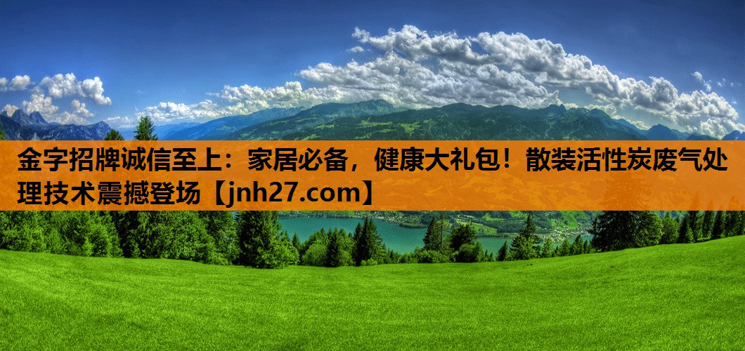 家居必备，健康大礼包！散装活性炭废气处理技术震撼登场