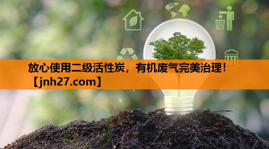 放心使用二级活性炭，有机废气完美治理！