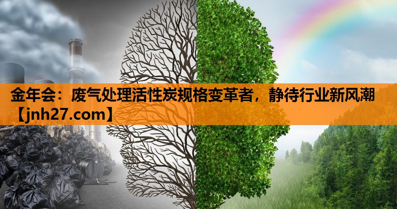 废气处理活性炭规格变革者，静待行业新风潮