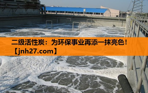 二级活性炭：为环保事业再添一抹亮色！
