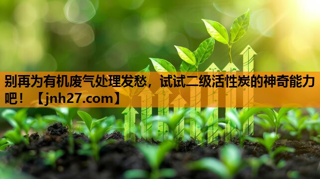 别再为有机废气处理发愁，试试二级活性炭的神奇能力吧！