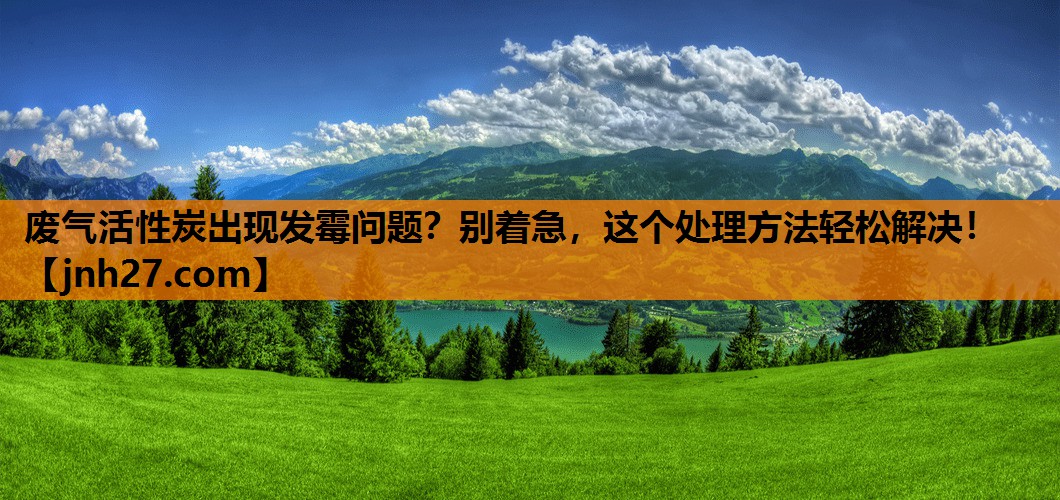 废气活性炭出现发霉问题？别着急，这个处理方法轻松解决！