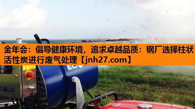 倡导健康环境，追求卓越品质：钢厂选择柱状活性炭进行废气处理