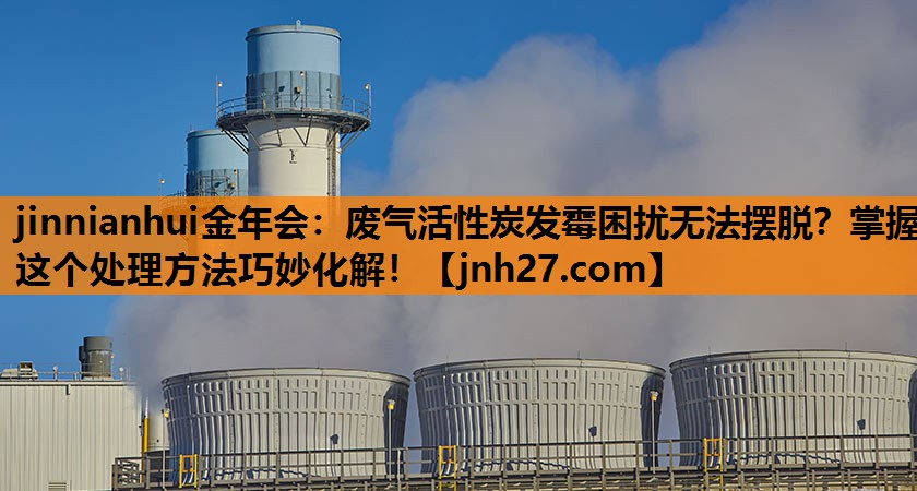 废气活性炭发霉困扰无法摆脱？掌握这个处理方法巧妙化解！