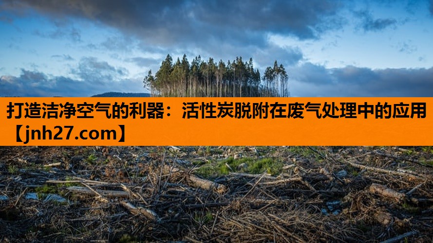打造洁净空气的利器：活性炭脱附在废气处理中的应用